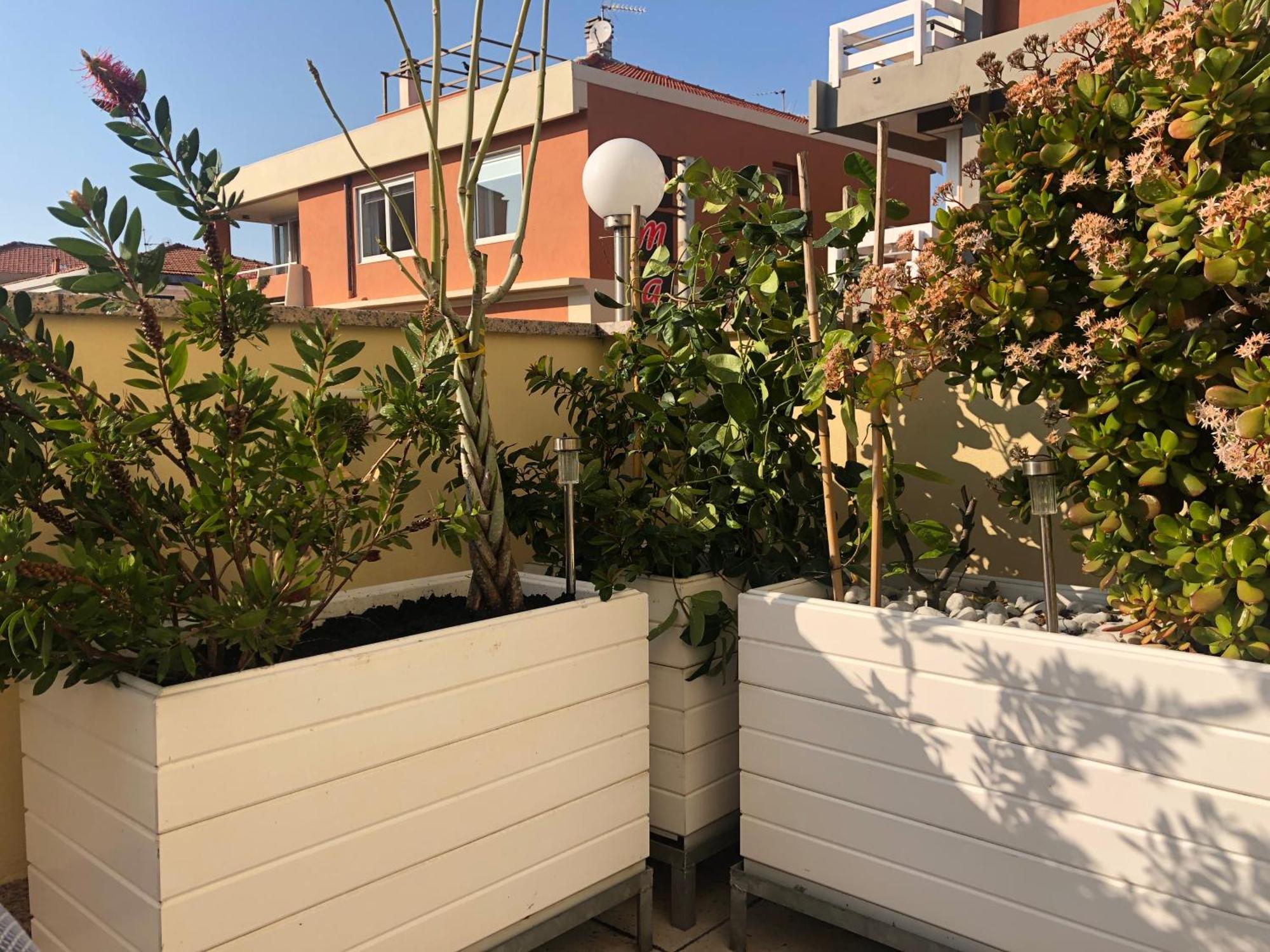 B&B Borgo Marina บอร์ดิเกรา ภายนอก รูปภาพ