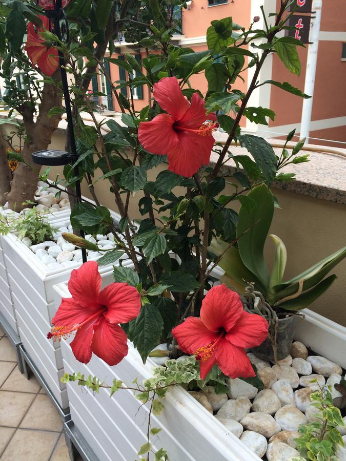B&B Borgo Marina บอร์ดิเกรา ภายนอก รูปภาพ