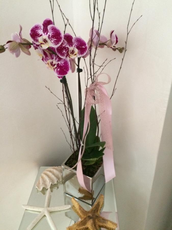 B&B Borgo Marina บอร์ดิเกรา ภายนอก รูปภาพ